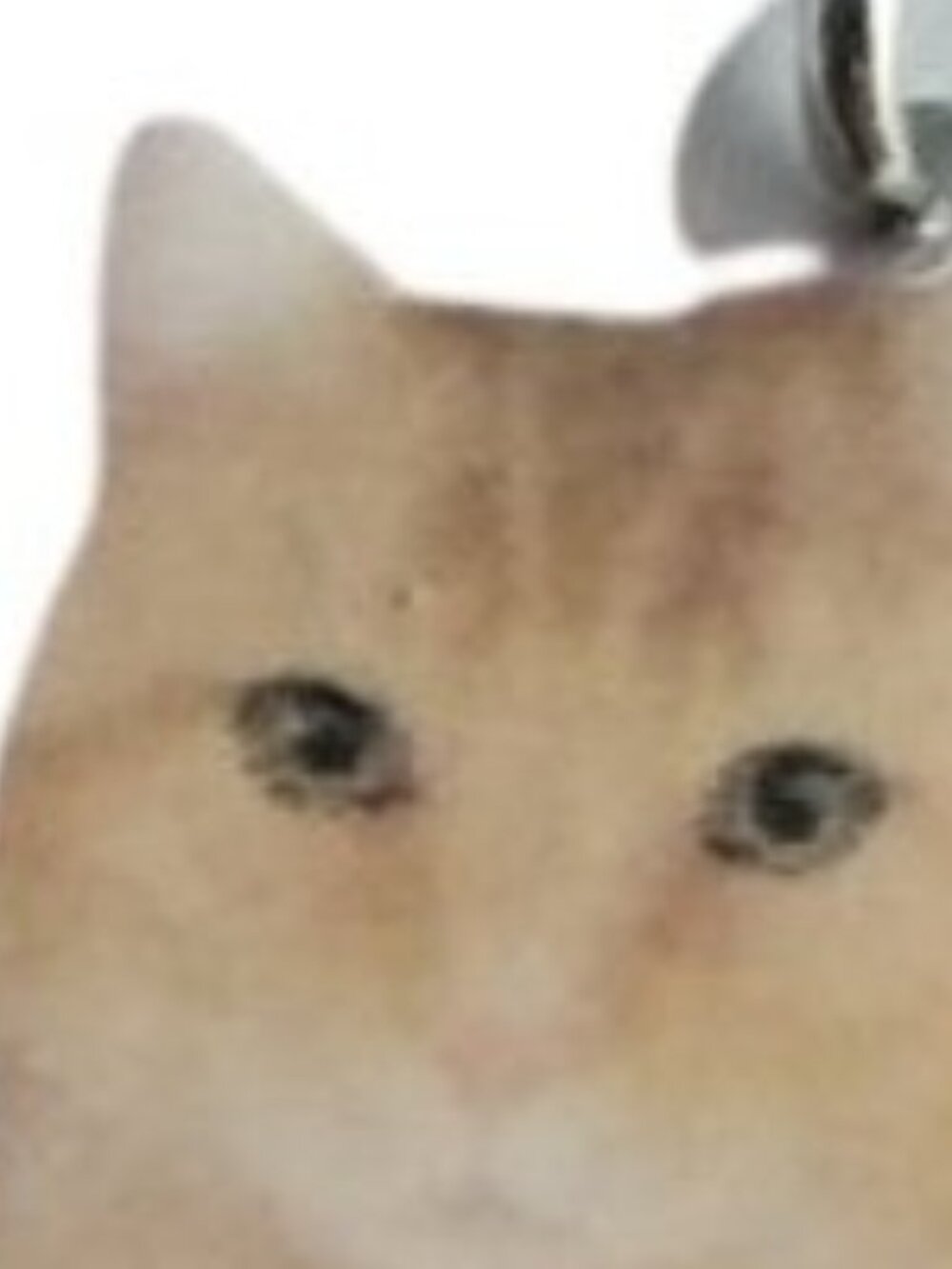 Tabby Cat Earrings
